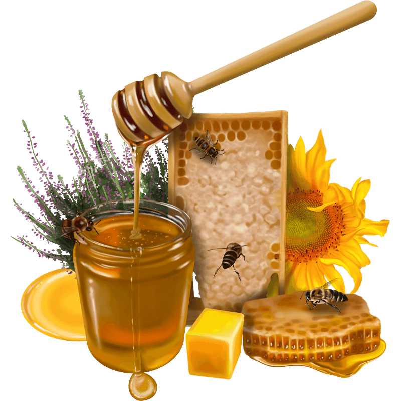 Pure raw honey and organic products